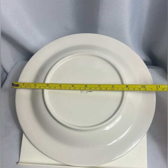 Studio Nova Frosty Snowman Winter Christmas Plate KT405 Rimmed Plate Table Decor - Picture 4 of 6